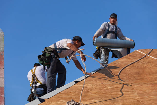Trusted Bloomingdale, TN Roofing Contractor Experts